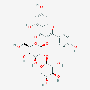 山奈酚3-O-桑布雙糖苷