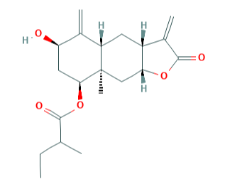 大葉土木香內酯