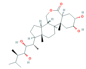 24-表蕓苔素內酯