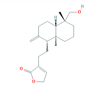 新穿心蓮內酯苷元