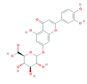 四羥黃酮-7-beta-D-葡糖苷酸