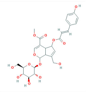 (E)-6-O-對香豆酰雞屎藤次苷甲酯